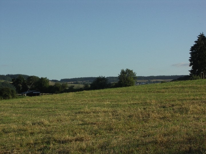 Auf der Hangkuppe am Sonnenhof